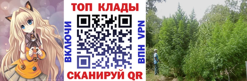 Где купить Сибай Бошки Шишки COCAIN ГАШ Меф