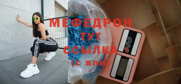 мдпв Ельня