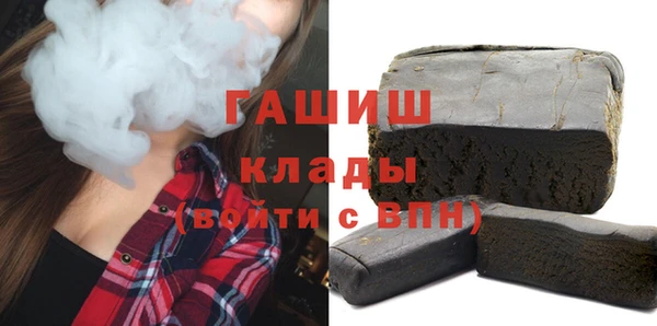 мдпв Ельня