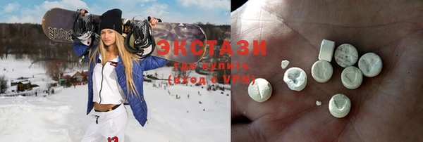 мдпв Ельня