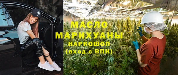 мдпв Ельня
