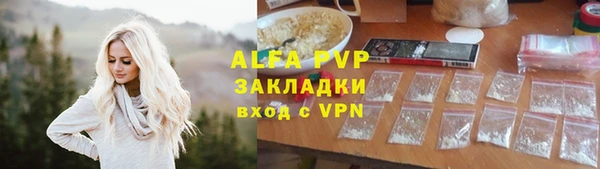мдпв Ельня