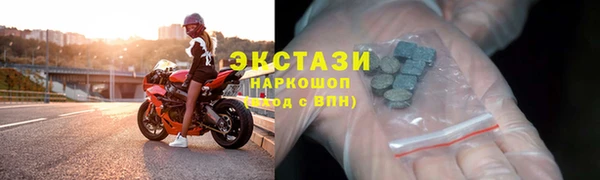 мдпв Ельня