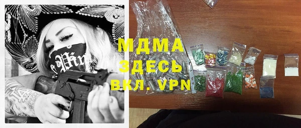 мдпв Ельня
