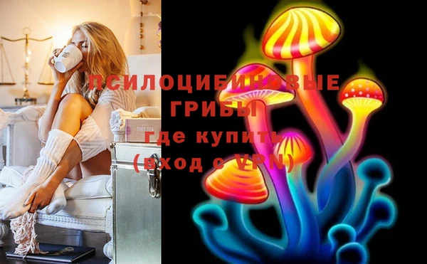 индика Дмитров