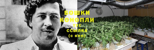 мдпв Ельня
