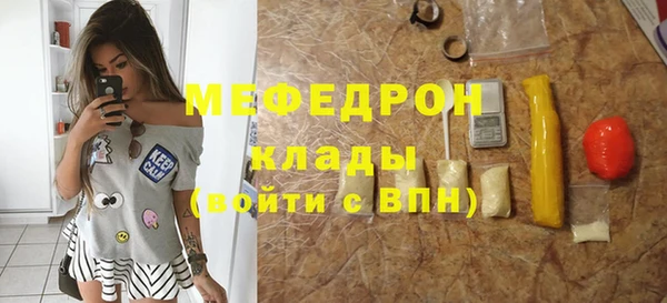 мдпв Ельня