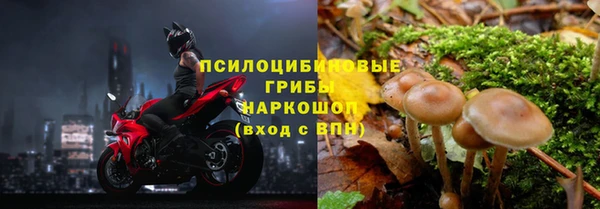 Альфа ПВП Елизово