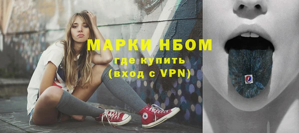 мдпв Ельня