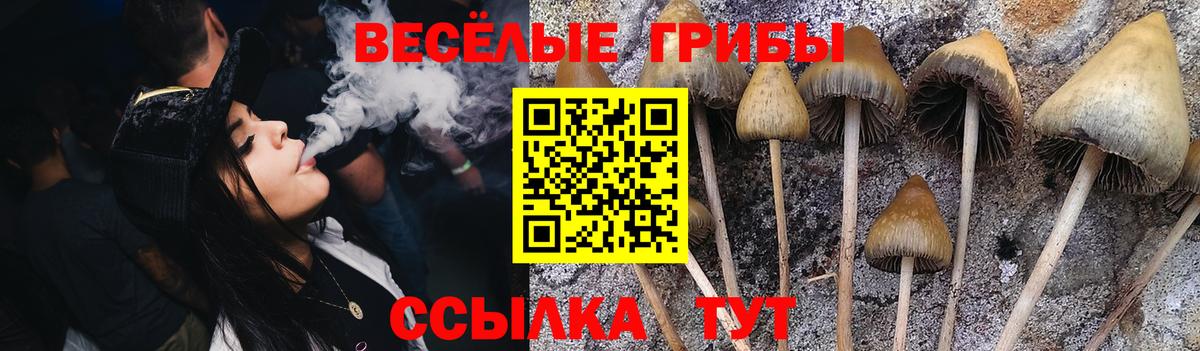 Псилоцибиновые грибы GOLDEN TEACHER  Псилоцибиновые грибы ЛСД  Сибай  Вход с VPN 