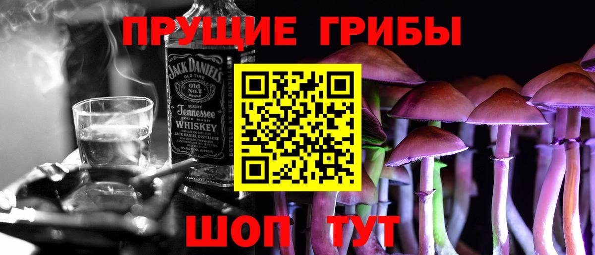 Псилоцибиновые грибы мицелий  Сибай  Галлюциногенные грибы Psilocybe 